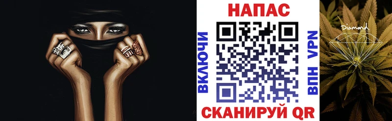 Конопля OG Kush  Купить где  Дно 